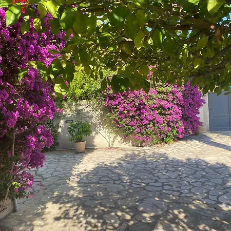 Mas Catalan Avec Piscine 12 A 15 Personnes 아르젤레쉬르메르